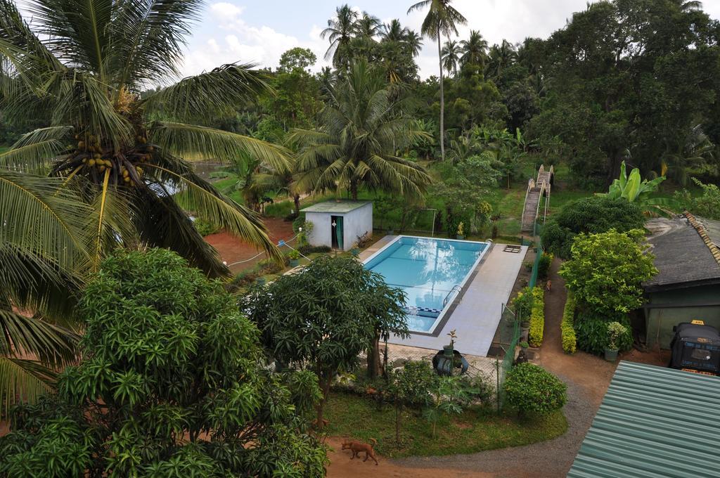 Nilketha Villa Eco Hotel Anuradhapura Buitenkant foto