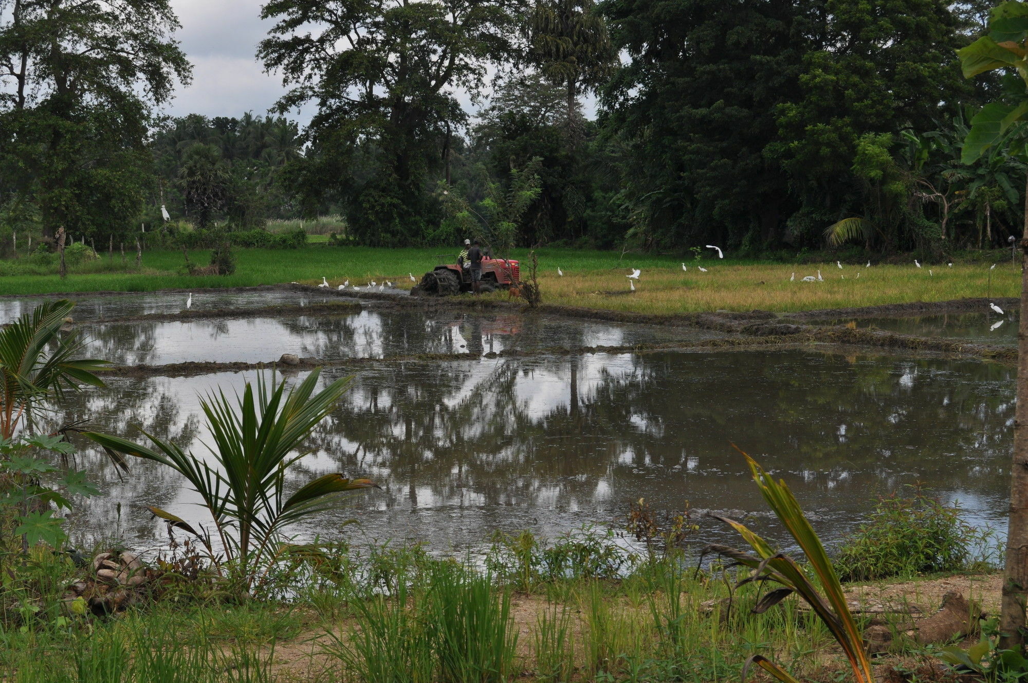 Nilketha Villa Eco Hotel Anuradhapura Buitenkant foto